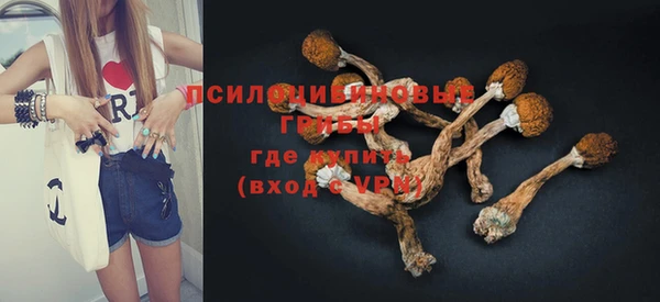 MDMA Premium VHQ Белокуриха