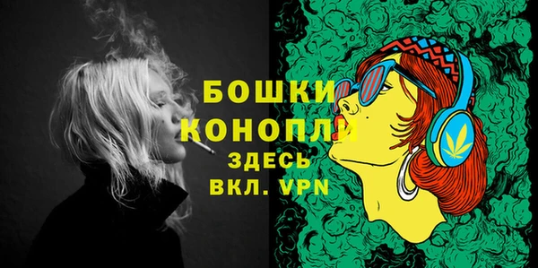бошки Богданович
