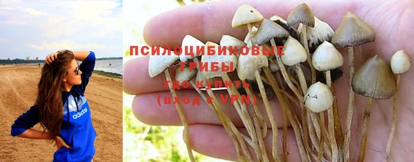 дживик Белоозёрский