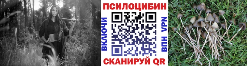 Галлюциногенные грибы мицелий  МЕГА зеркало  Харабали  как найти наркотики 
